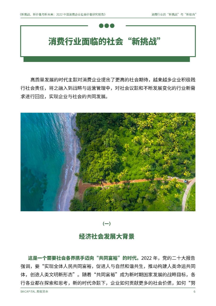 2022中国消费企业社会价值研究报告